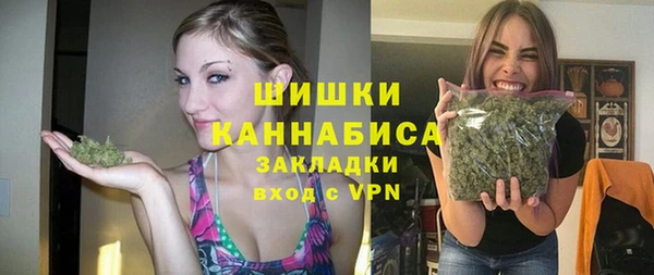 шишки Алзамай