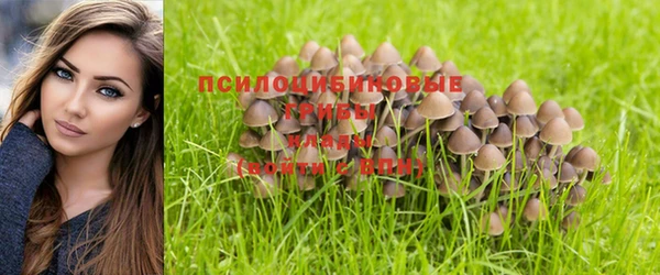 прущие грибы Алексин