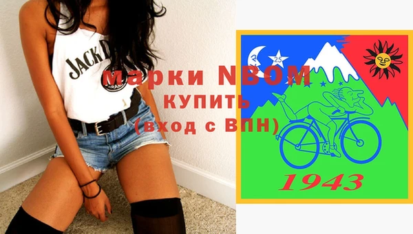 шишки Алзамай