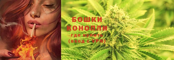 шишки Алзамай