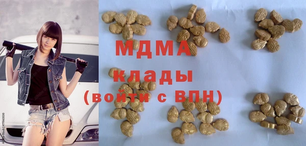 шишки Алзамай