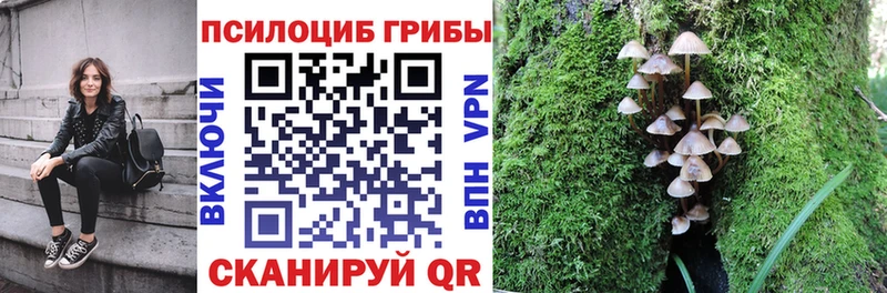 Галлюциногенные грибы GOLDEN TEACHER Харовск